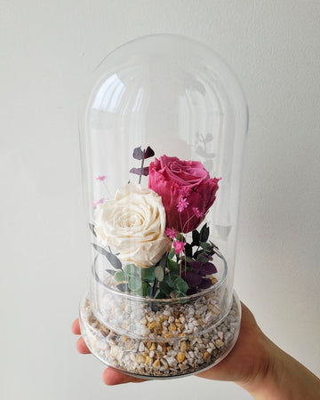 Roses éternelles dans une cloche en verre ( Teintes féminines)