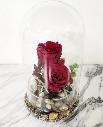 La rose éternelle! ( couleur Rouge)