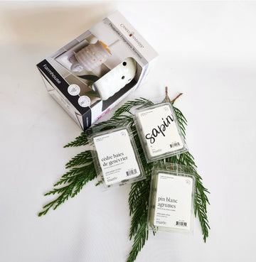 Diffusseur électrique de pastilles de cires parfumées