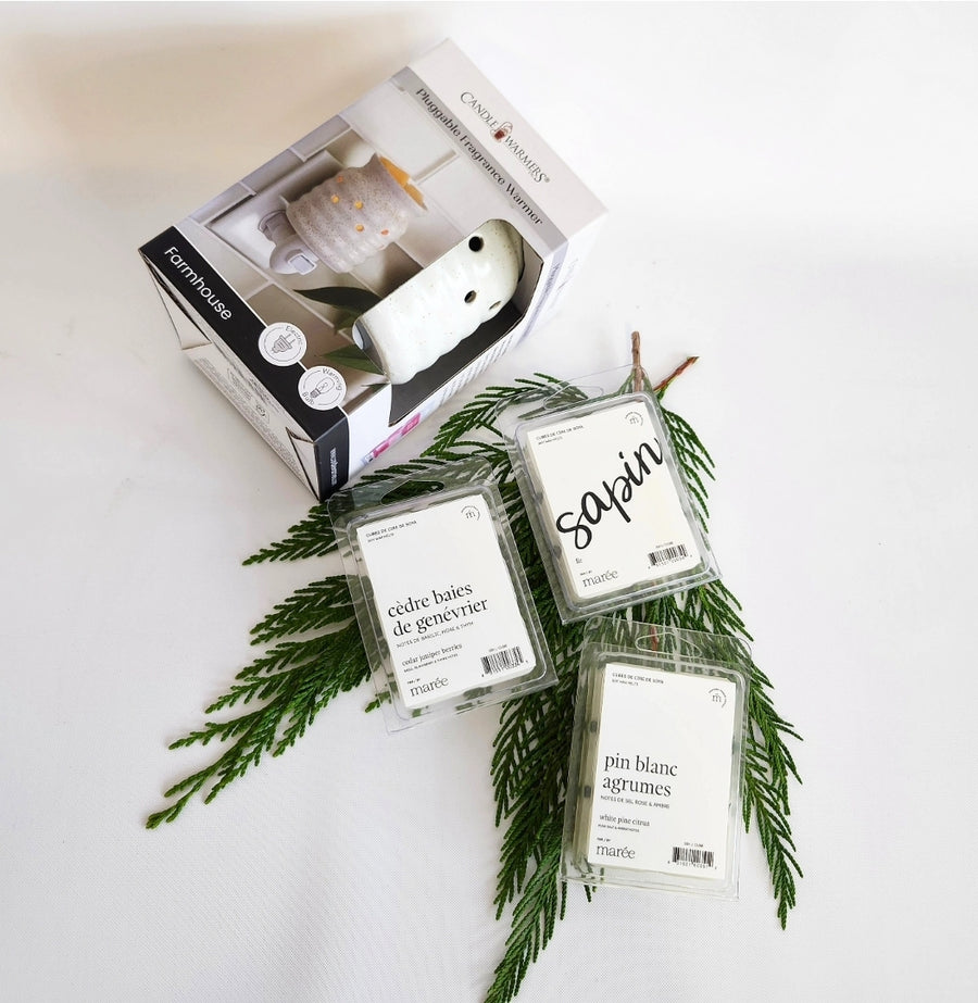 Diffusseur électrique de pastilles de cires parfumées