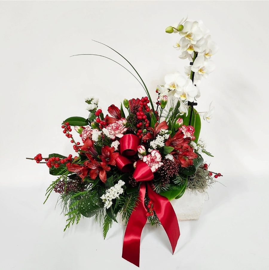 L'orchidée en centre de table de Noël!