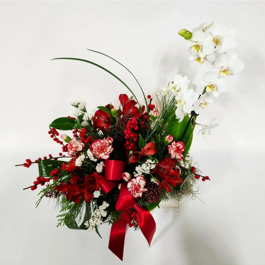 L'orchidée en centre de table de Noël!