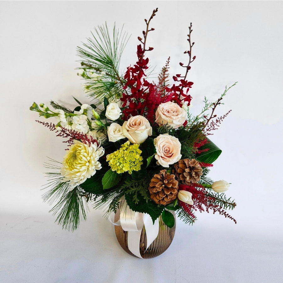 La renaissance des couleurs hivernales