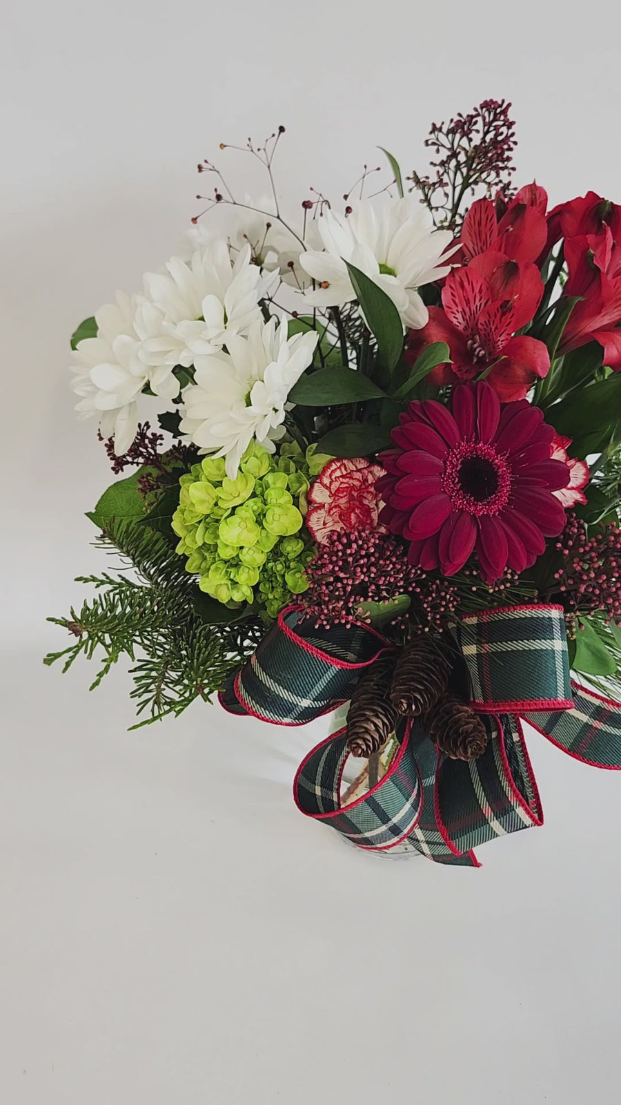 Un cadeau pour Noël!