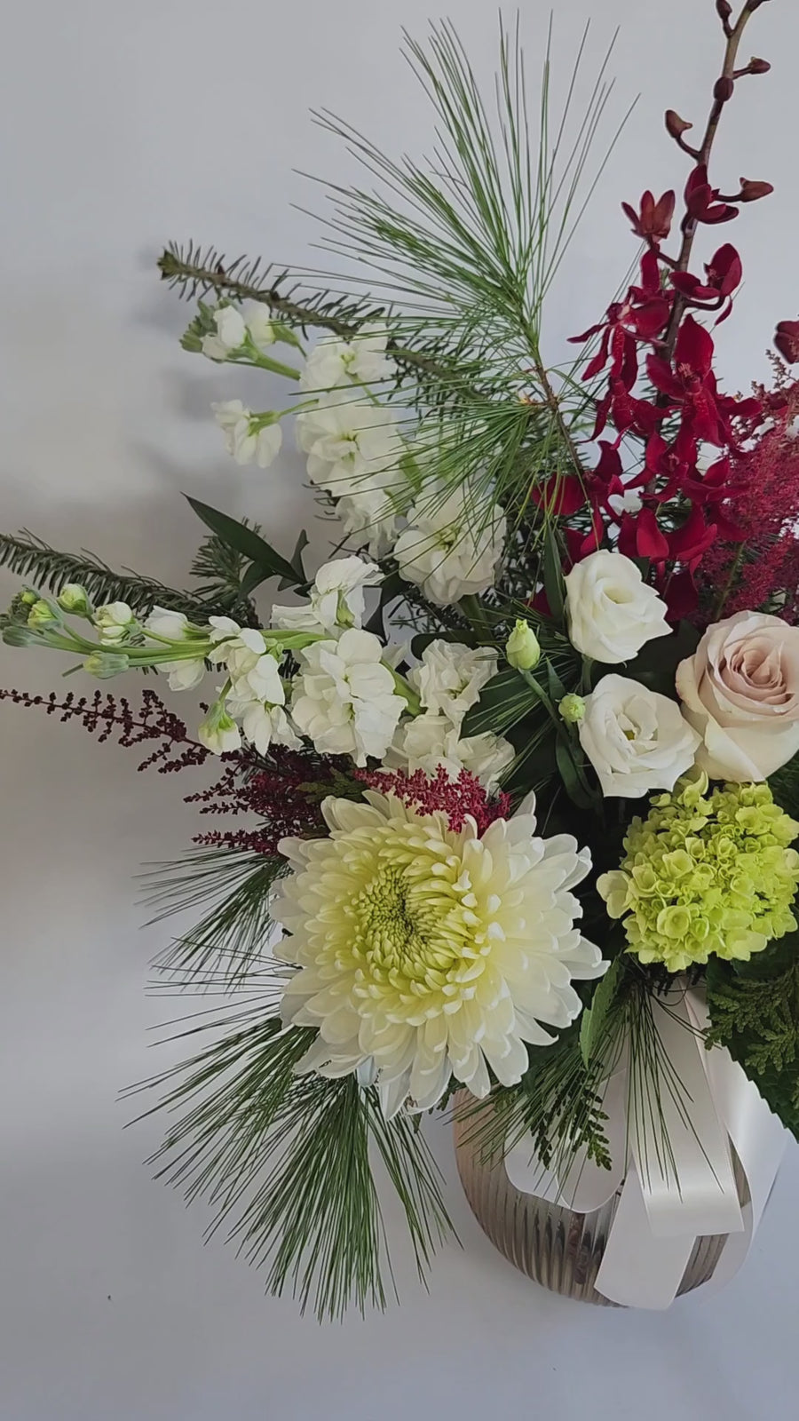 La renaissance des couleurs hivernales