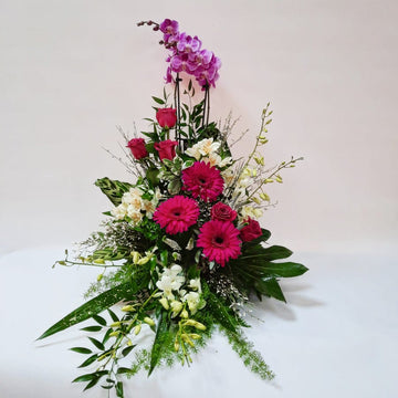 Une note de fuchsia